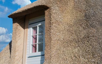Astmoor thatch roof disadvantages